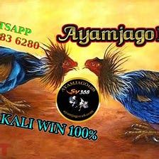 AYAMJAGO128 .